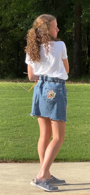 'Ansley' Butterflies & Dragonflies Skirt
