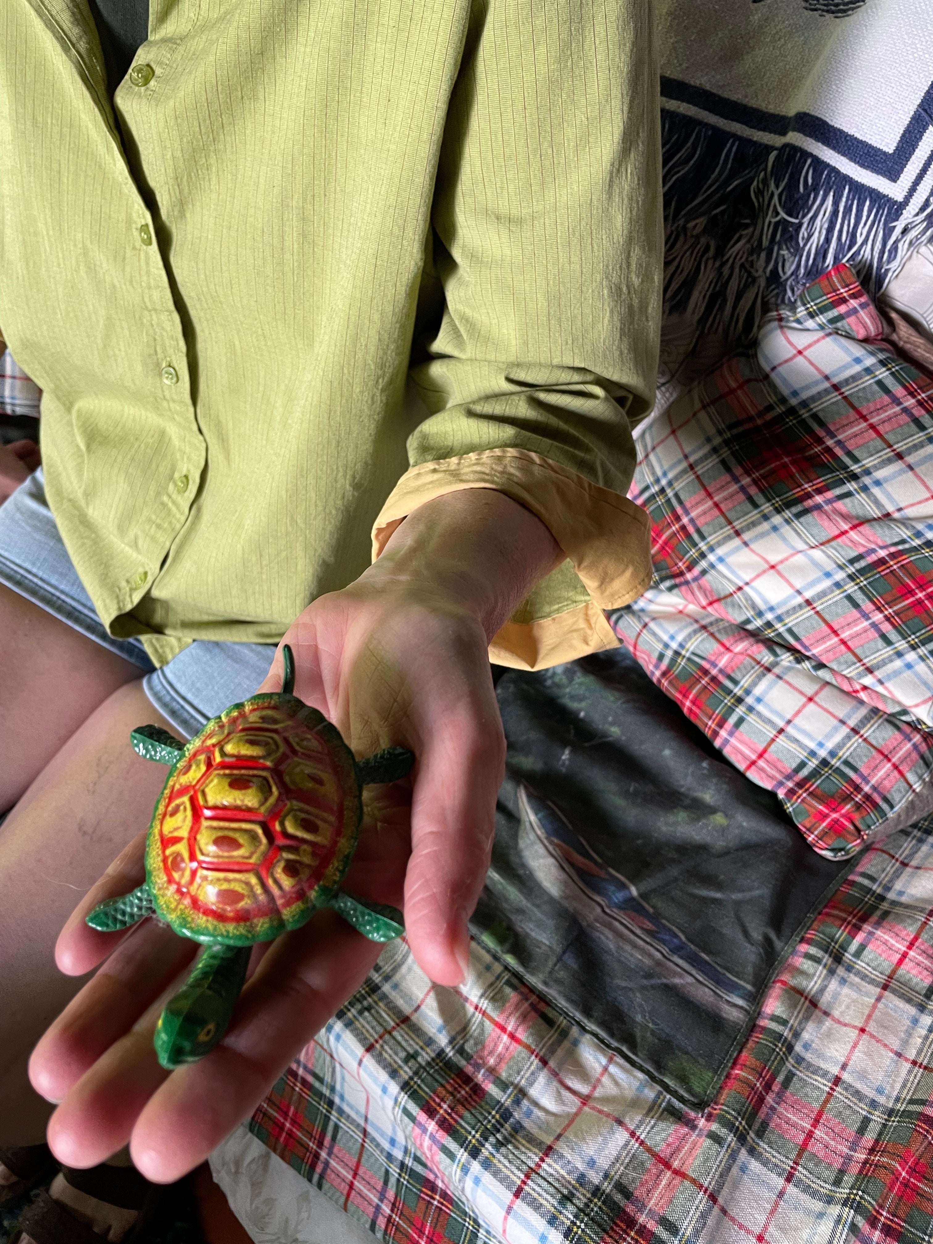 Turtle King